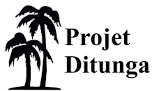 Logo oficial del Proyecto Ditunga, iniciativa de cooperación y desarrollo.